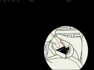 Sternin & Fraser Ink, Inc./Highschool Sweethearts/Sony Pictures Television (1998/2002)