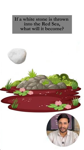 Amazon & Google Interview Puzzle | Software Engineers | Tricky Logic Question for Freshers & Intern