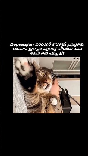 ഇതിലും വലുത് എന്തോ വരാൻ ഇരുന്നുയെന്ന വിചാരിച്ച മതി sir 😂🚶 #malayalammemes #shortsfeed