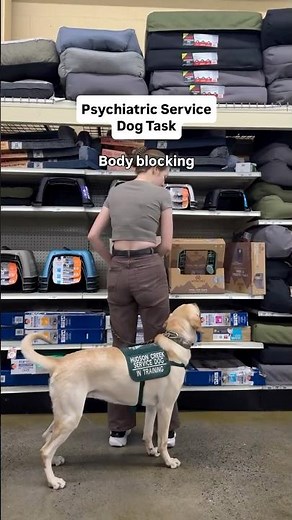 Body blocking is a common psychiatric service dog task #dogtrainer #servicedogs