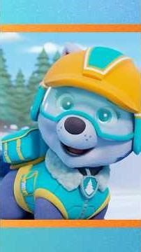 PAW Patrol Everest snow rescue! 🐧 #shorts