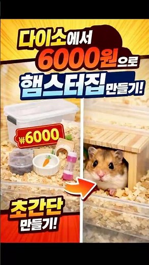 다이소에서 6000원으로 햄스터집 만들7| #hamster #capcut #pets #cute #animals #다이소 #햄스터집