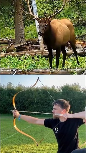 🦌 Elk Hunting with Archery Bow | Amazing Shot & Outdoor Adventure 🏹