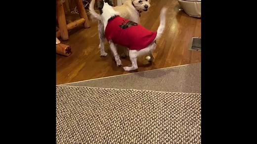 Jennifer Bowder (@jenniferbowder)’s videos with original sound - Pubity