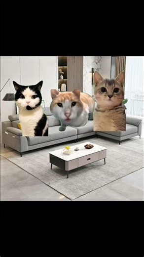 ketika lu jadin kakek2 atau nenek2 #memes