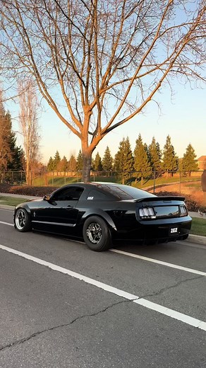 2007 Mustang GT: Lowered Performance and Style