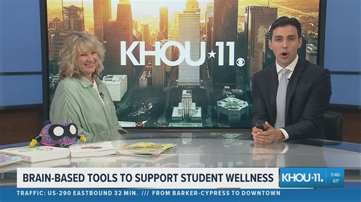 How brain-based strategies can improve student mental health