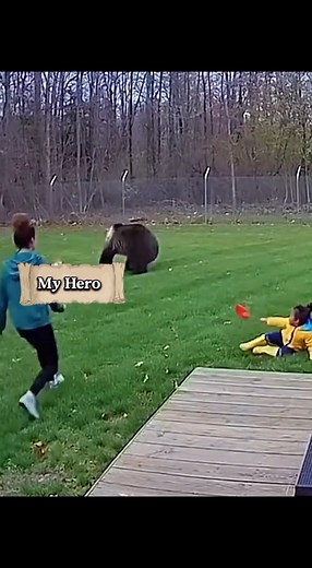 21K views · 142 reactions |  “Real-Life Guardian: Cat vs Bear Showdown” #bear #tiger #cats #animallover #rescue | Mystères Félins | Facebook