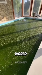 cleaning pool #science #sciencefacts #facts #pool | Go Movie