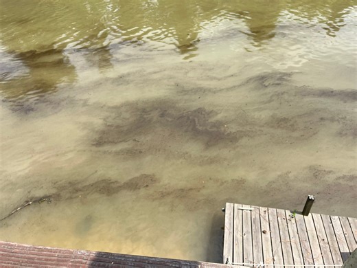 EPA expects to release Tangipahoa River water-testing results by end of week