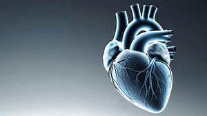 Human Heart Beating.Heartbeat.Cardiovascular System.Cardiology.4k video.