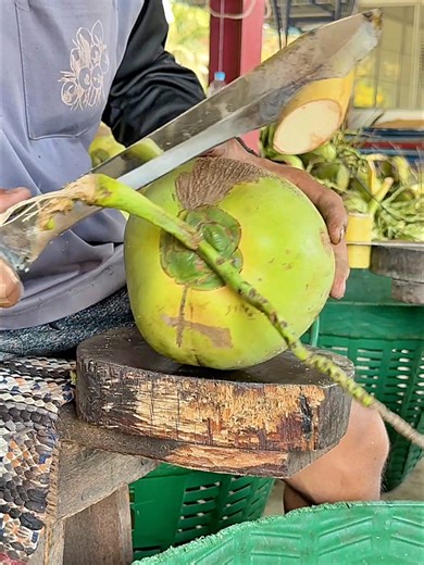 World's Fastest Coconut Cutter Demonstration