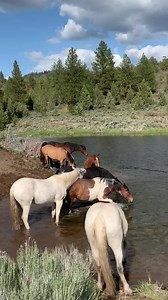 3.3M views · 10K reactions | I am working on a post and will be...