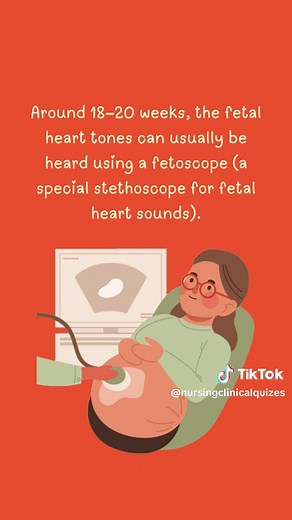 Leopold's Maneuver: Evaluating Fetal Position at 20 Weeks