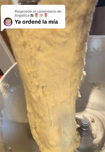 Creative Home Baking with Amasadora: A Guide