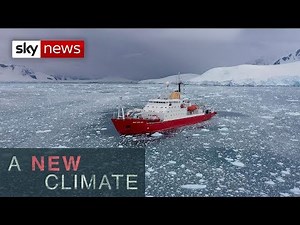 Huge 'tower block' of ice splits from Antarctica