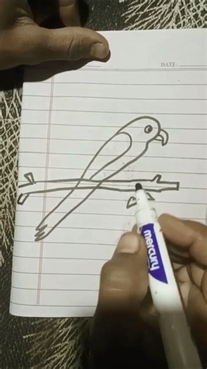 How to draw a beautiful parrot|parrot drawing with number 2|easy....