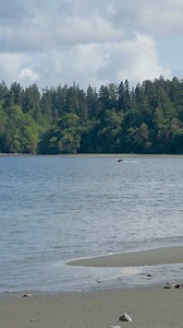 1.1K views · 15 reactions | Puget Sound has a nutrient pollution...