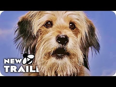 Benji Trailer (2018) Netflix Benji Remake