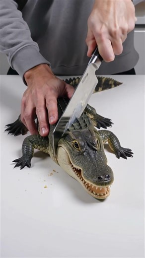 “Wait… THAT’S A CAKE!”
