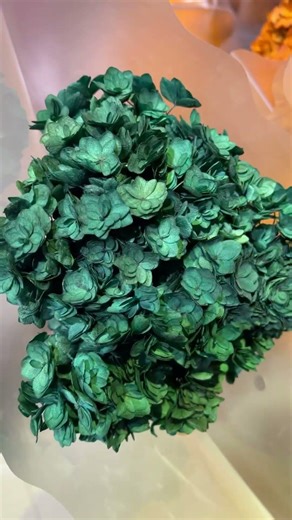 classic style hydrangea new for wedding events floral design stock stabilized blooms #sayefloral