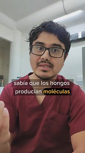Akira Endo y su curiosidad por los hongos y un arduo trabajo llevaron a las estatinas, un fármaco que ayuda a bajar los niveles de colesterol en sangre. #bioquimica #biologia #curiosidades #biology #quimica #quimicaorganica #medicina #salud #colesterol #nutricion #metabolismo #hongos #fleming #descubrimientos | Mundo Na'At
