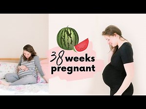 38 WEEK PREGNANCY UPDATE || PREGNANT BELLY PROGRESSION