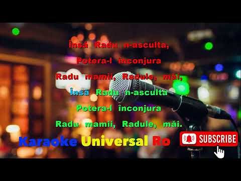 Benone Sinulescu Radu mamii, Radule Karaoke Universal Ro