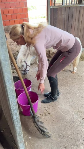 Pony Care: Cleaning Hooves and Preparing for Grooming