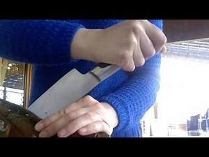 Come uccidere astice.