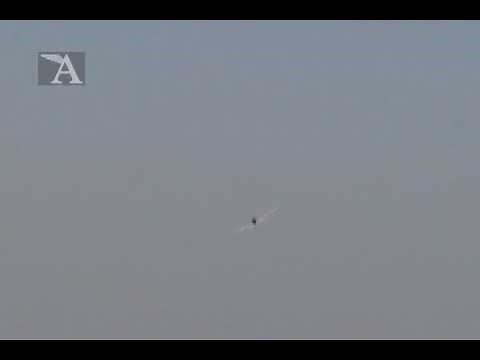 Modell AVIATOR: Merlin von Multiplex