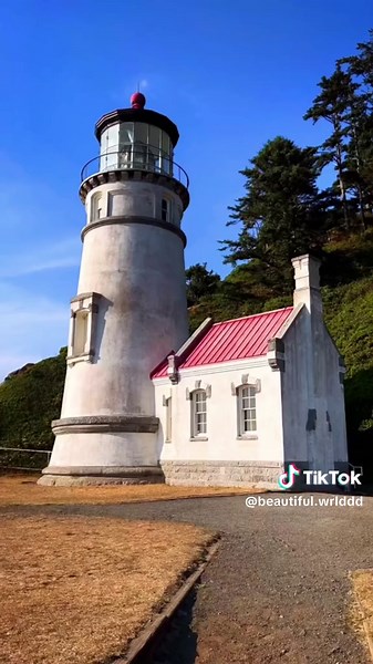 Our beautiful world on TikTok