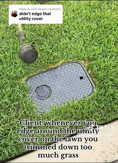 Proper Lawn Edging Techniques: Avoiding Common Mistakes