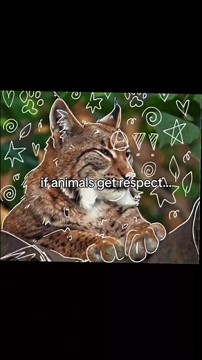 Tech Talk: Why Animals Deserve Respect