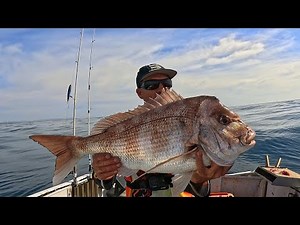 How to catch reef fish (Big results) Catch & Cook