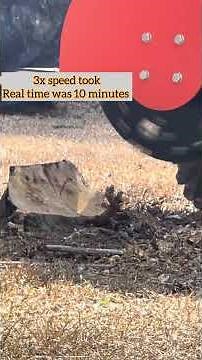 Quick tree stump removal MechMaxx SG24 #shorts #shortvideo #landscape #agriculture #homestead