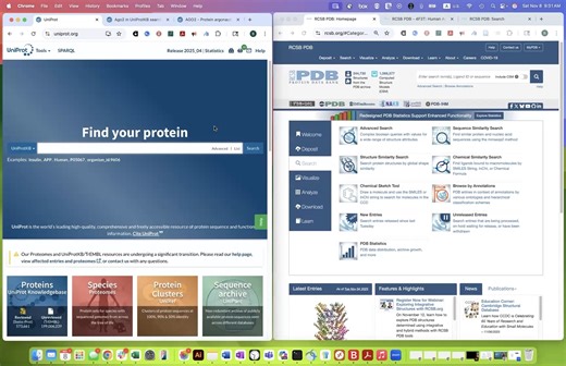 Brianna Bibel on Instagram: "Uniprot vs. the PDB: Understanding their entries and differences Bottom line: * Each entry in Uniprot corresponds to a protein (chain) * Each entry in the PDB (Protein DataBank) corresponds to a structural model which can contain part of a protein chain, a whole protein chain, multiple protein chains, proteins bound to things, DNA, RNA, etc.) Each UniProt entry can be associated with multiple PDB entries (and you can even link out to them directly from UniProt) and e