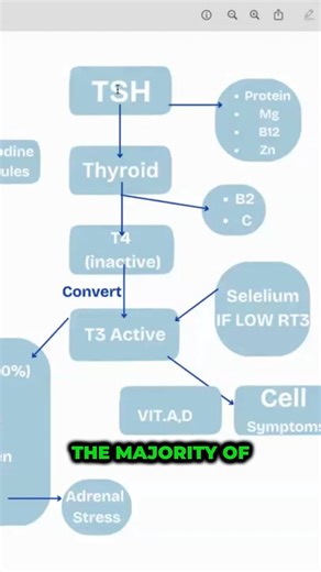 Why Haven't You Been Told