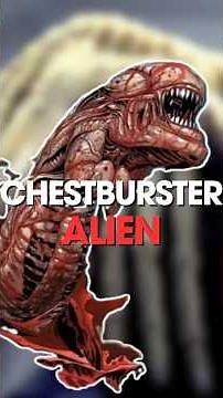 What is Chestburster in Alien? #alien #movies #sciencefiction