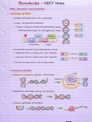 Biomolecules 👌👌👌👌#shorts #biology #chemistry #organic #science #viral #gk #upsc #education #neet