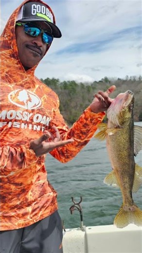 Spring time walleye fishing in Georgia on carters Lake in Ellijay !
