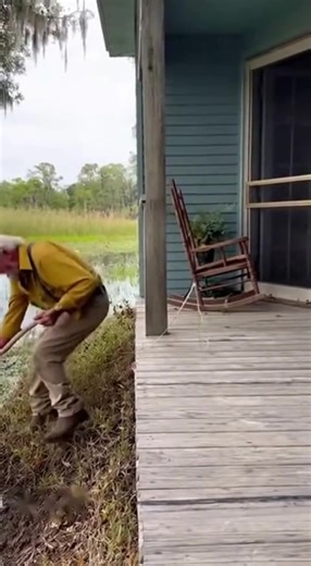 106K views · 861 reactions | When your swamp puppy won’t behave | Grumpy Old Gits | Facebook