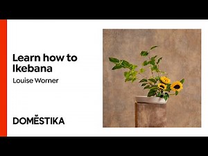 Ikebana: flower arrangement for beginners - A course by Louise Worner | Domestika English