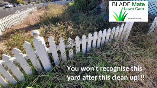 Part One: A Legendary Yard Clean Up You Have to See to Believe!