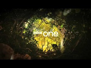 BBC One - Magical Forest Ident