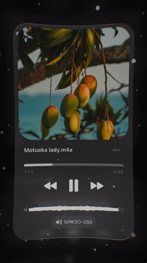 🐊 on Instagram: "Motueka lady #musique #songs #vanuatu #goodvibes #2025 #🥳🥳🥳"
