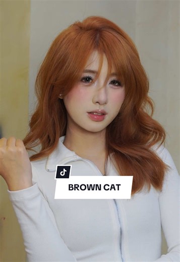 Sốc với Cuối Video Thú Vị từ The Color Thief