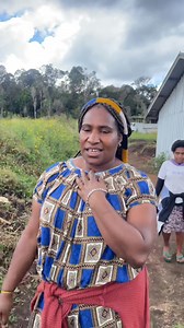 345K views · 4.4K reactions | Part 9: Mt Giluwe rainbow trout fish farming This marks the first establishment of a fish pond in this area ️☁️ #giluweranbowtroutfishfarming #foryoupagereels #viralreelsシ #trandingreels #Tambul #fish #nature | Wesley Dari-Freelance | Facebook