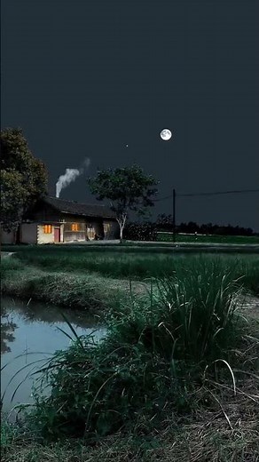 ดนตรีผ่อนคลายยามค่ำคืน | หลับสบาย ลดความเครียด