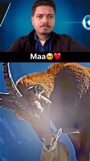 Mr Editor on Instagram: "🇯🇵この速度に達すると、もはや陸上を移動しているのではなく、音速で移動していることになります🚀🌍 このシミュレーションは、マッハ1、つまり時速約1,330kmで日本を超音速鉄道で旅するとどのような感じになるかを視覚化したものです。現在、日本の最速列車は約時速320kmで運行されており、超高速リニアモーターカーのような先進的な試験プラットフォームでは、制御された環境下で時速600kmを超えています。 このシミュレーションはそれをはるかに超え、現在の鉄道コンセプトが真の超音速システムに進化した場合に何が可能になるかを探ります。この速度に到達するには、単なる動力だけでは不十分です。エンジニアたちは、超高速走行における最大の制限要因である空気抵抗を排除するために、磁気浮上、ほぼゼロ摩擦のガイドウェイ、真空または低圧チューブシステムなどを研究しています。マッハレベルの移動では、わずかな空気の乱れでさえ構造上の課題となります。 だからこそ、将来の超音速鉄道構想は、精密誘導システム、AI制御の安定性、そして数百キロメートルにわたってミリメート